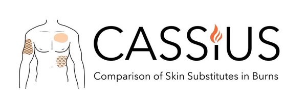 AliceEALee Profile Banner