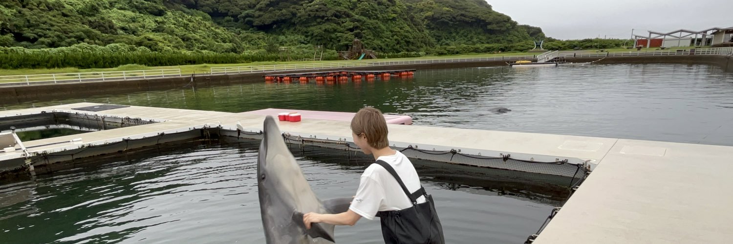 のたべひろこ banner