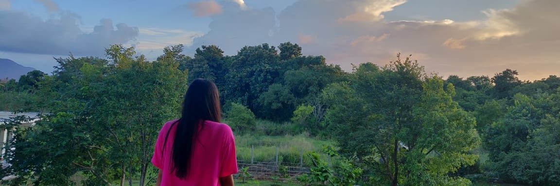 aayu13's profile banner image