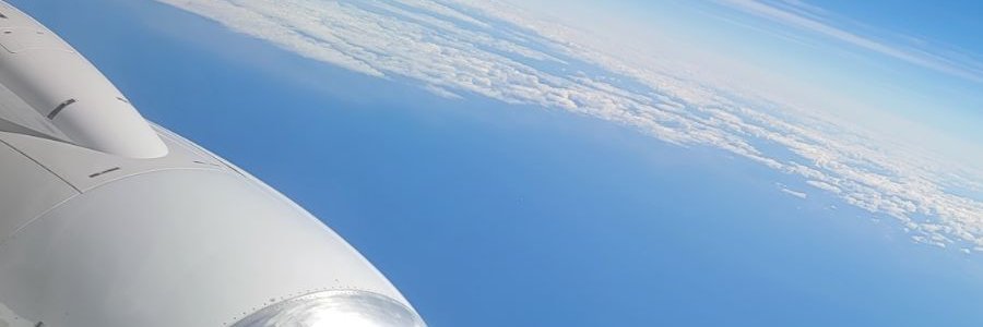 naturalfool73's profile banner image