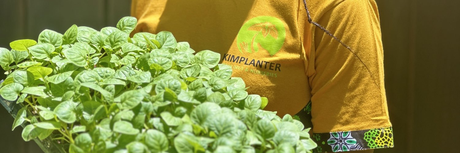 Kimplanter seedlings banner