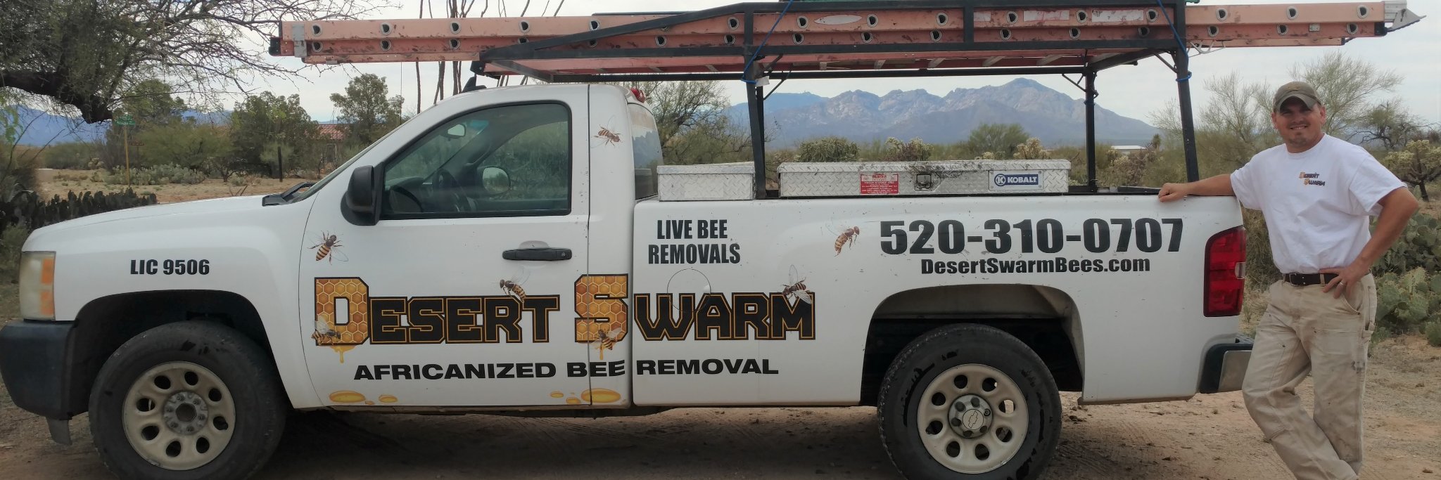 BeeDesert's profile banner image