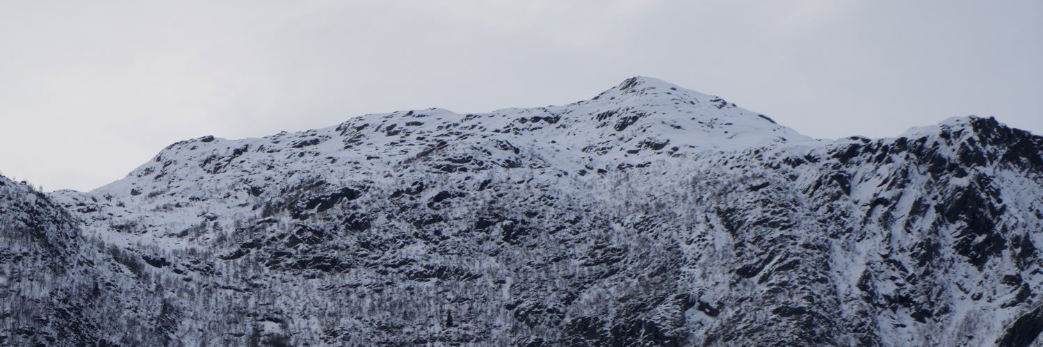 sophiedhen's profile banner image