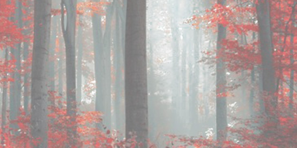 violetsupra's profile banner image