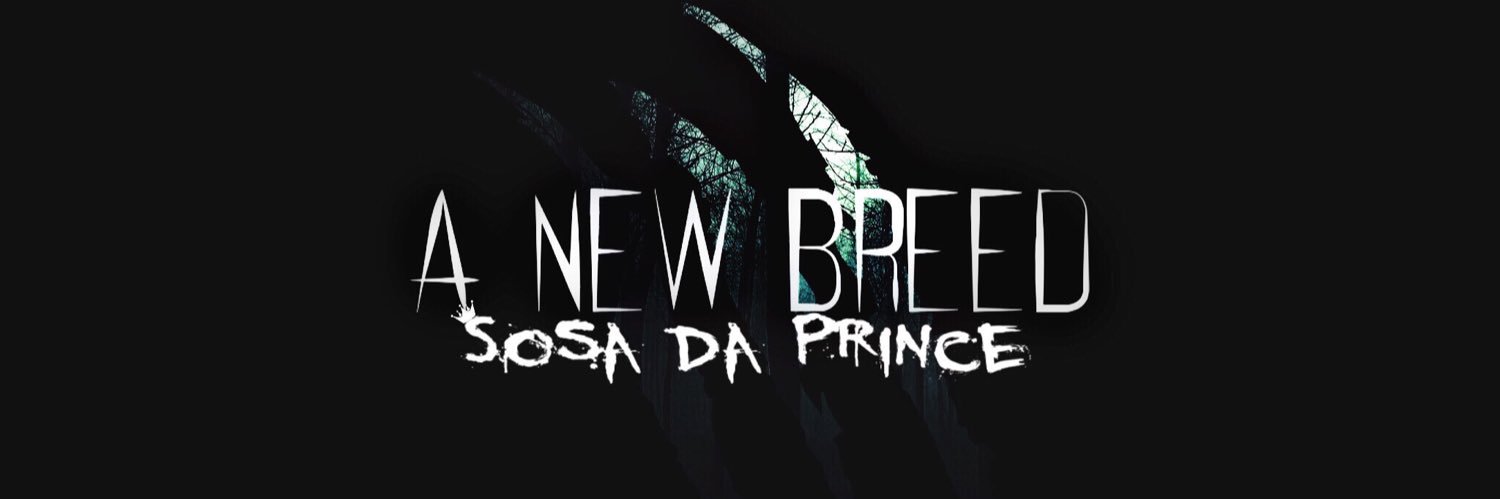 SosaDaPrince's profile banner image