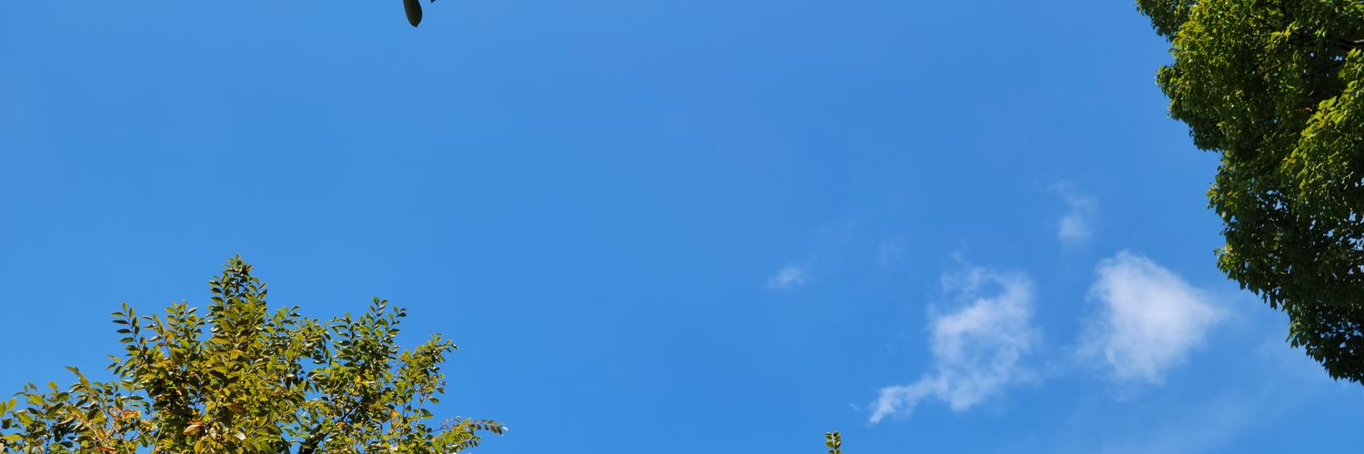 226_an's profile banner image