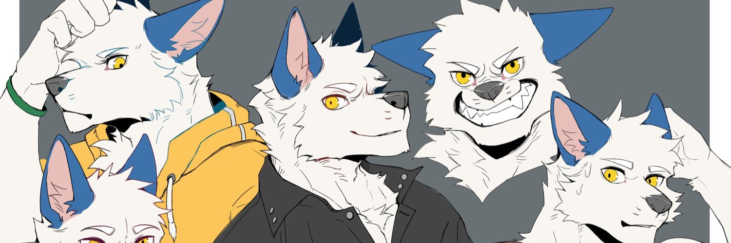 雪原小狼 banner