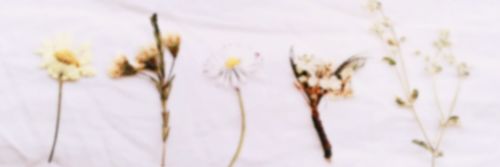 JamessHug's profile banner image
