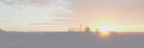 AuriScarpa's profile banner image