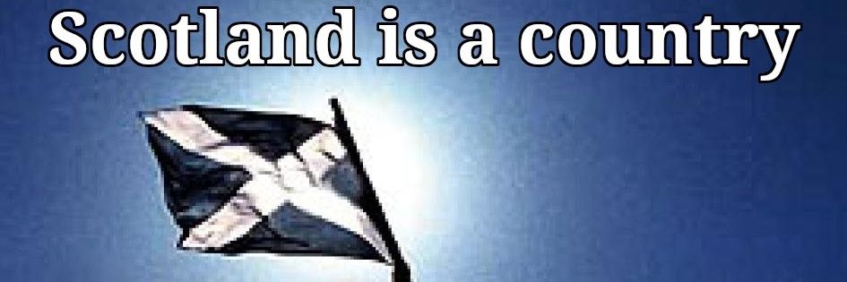 Bobofinch banner