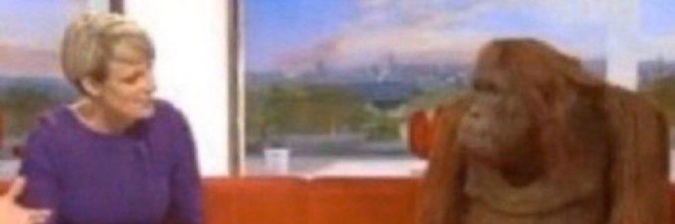 beh banner