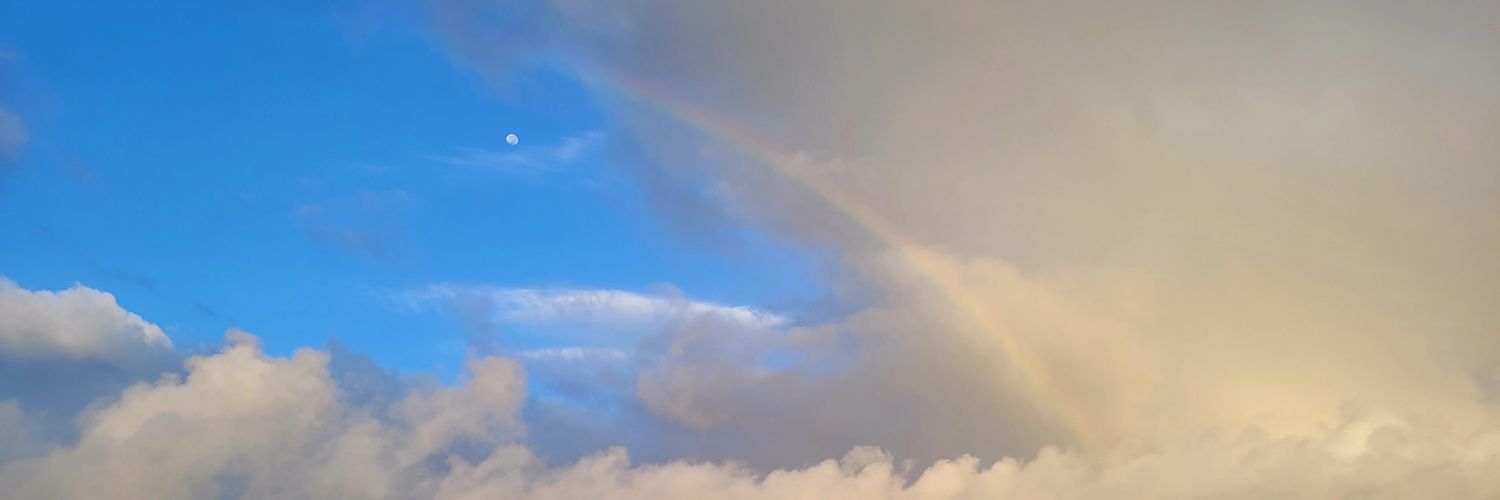 OreuL's profile banner image