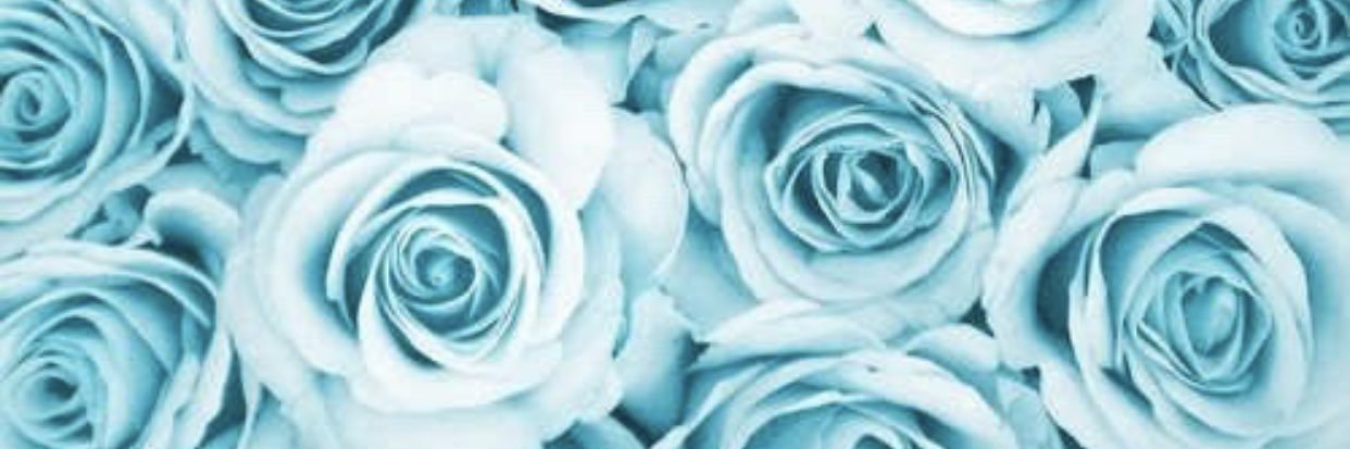 jhdz926's profile banner image