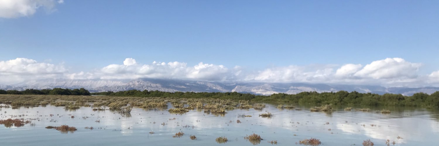 ساكن گذشته نچندان دور. banner