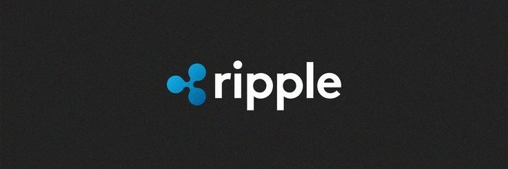 xrpDevelopNews's profile banner image