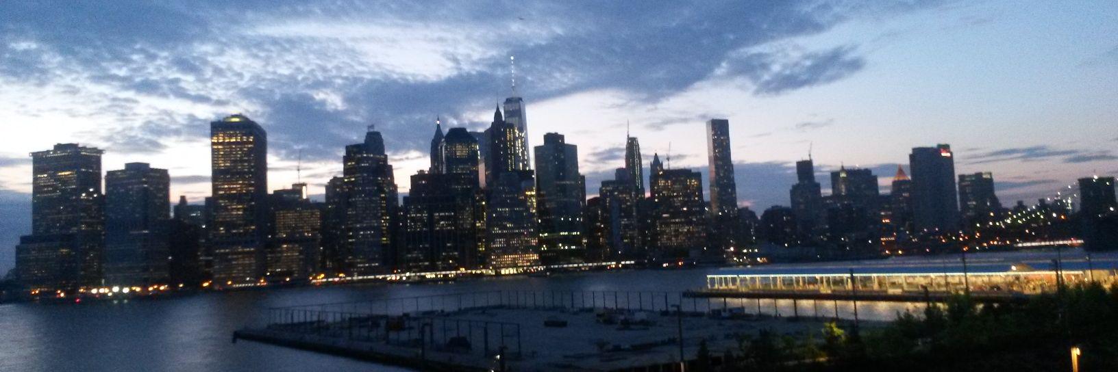 Lily Elisheva banner