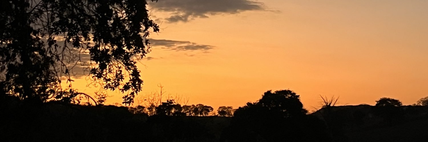 bebelle_og's profile banner image