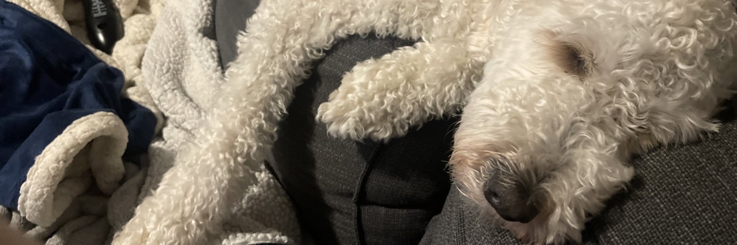 ashwiththatsass's profile banner image