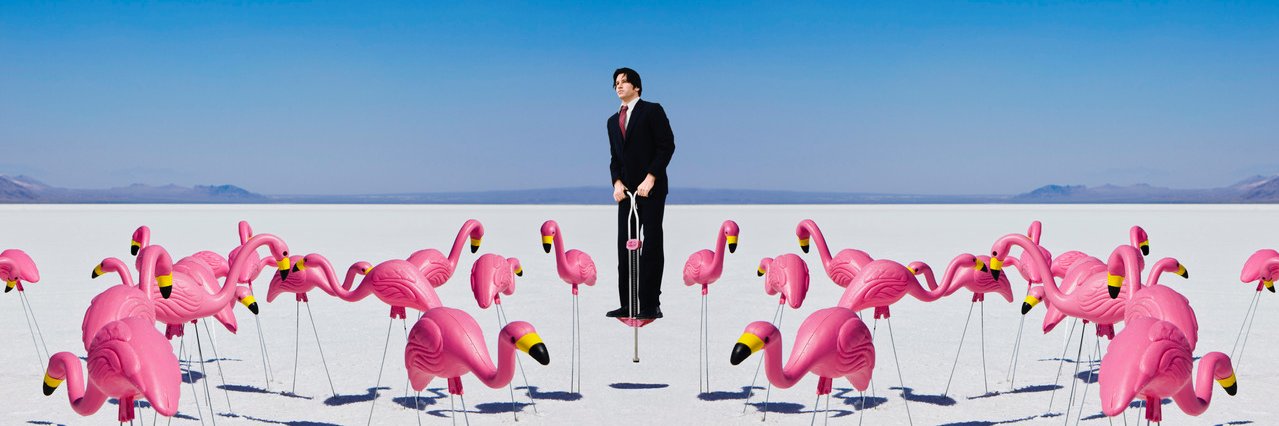 elysianflamingo's profile banner image