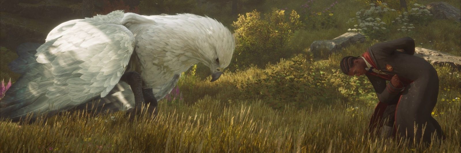 Cleison Costta banner