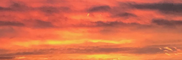 opstriz's profile banner image