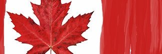 CanDoSkidoo banner