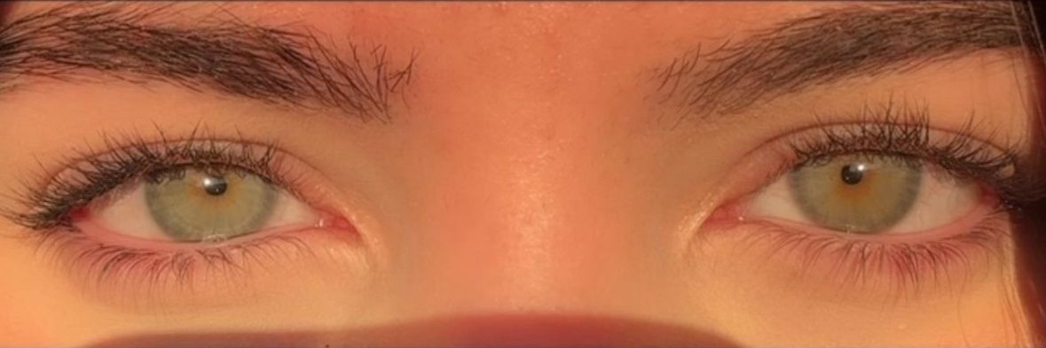 Rennan Diniz tmj banner