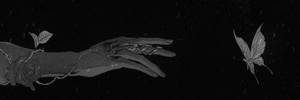 breedinglver's profile banner image