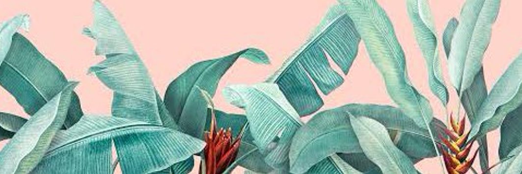 frotastique's profile banner image