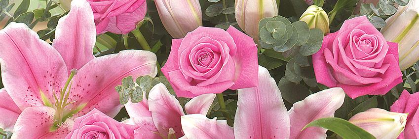Telefleurs's profile banner image