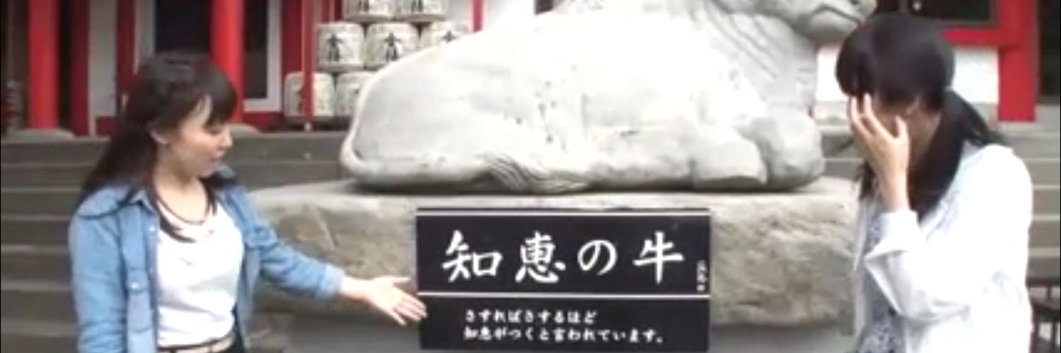 akihirotbf's profile banner image