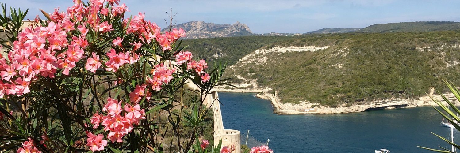 MPourias's profile banner image