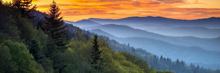PammyRK's profile banner image