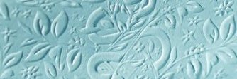 caropady_'s profile banner image