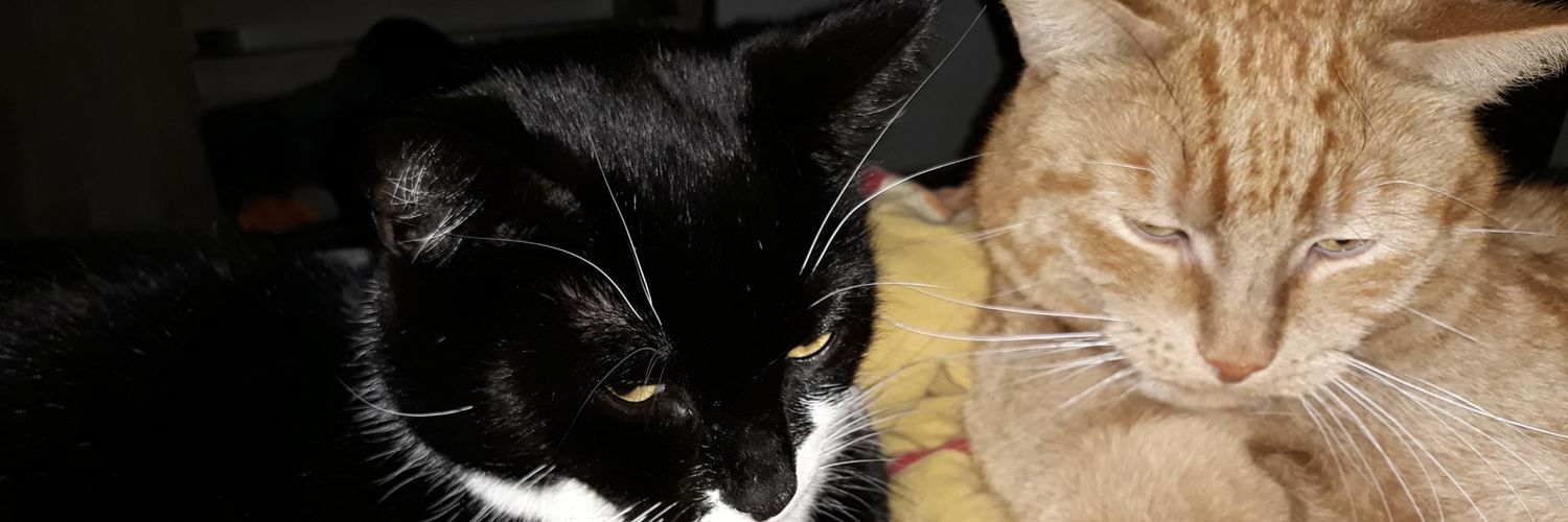 LoweSimba's profile banner image