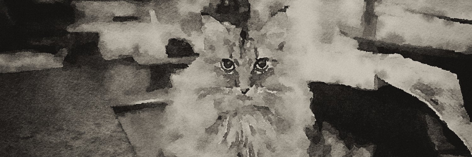 ducatia's profile banner image