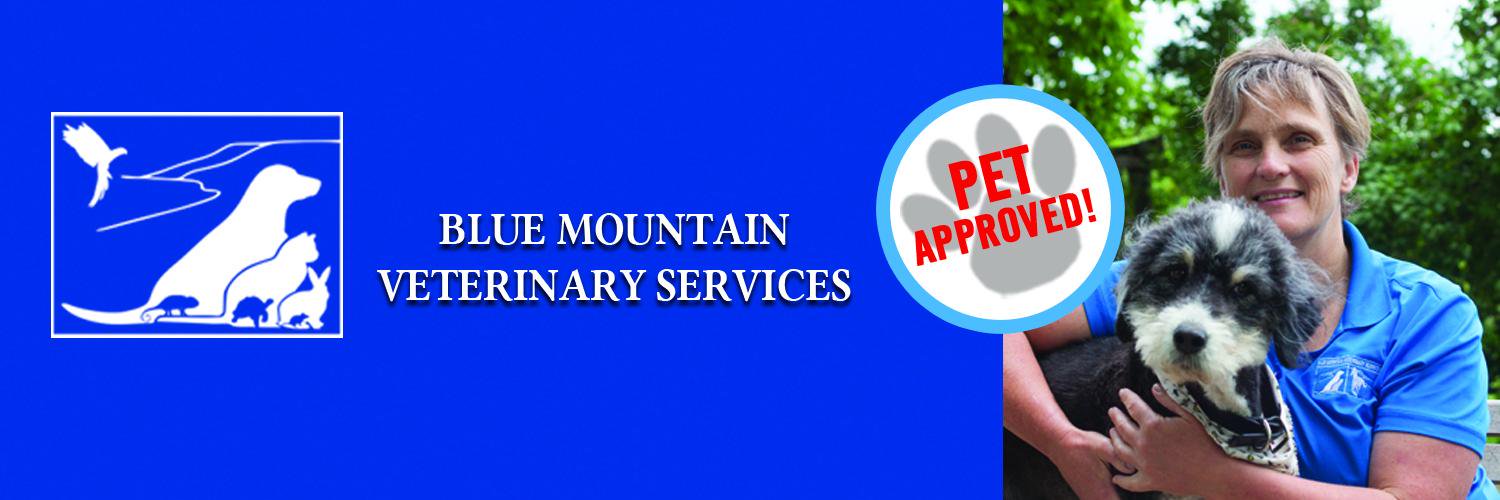 BlueMountainVet's profile banner image