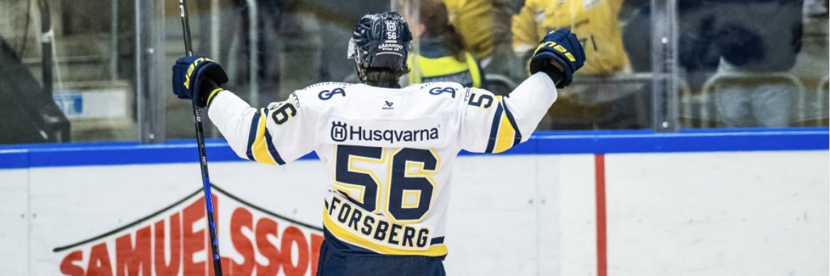 Gustav banner