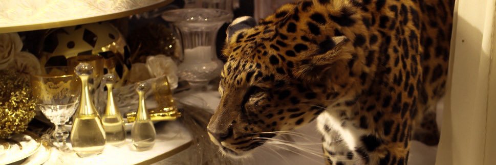 ☤ banner