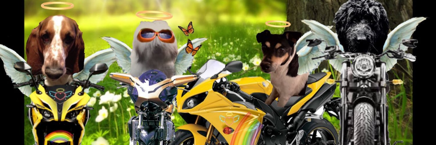 lindapiet20's profile banner image