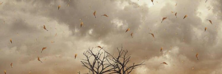 Nad00sha1's profile banner image