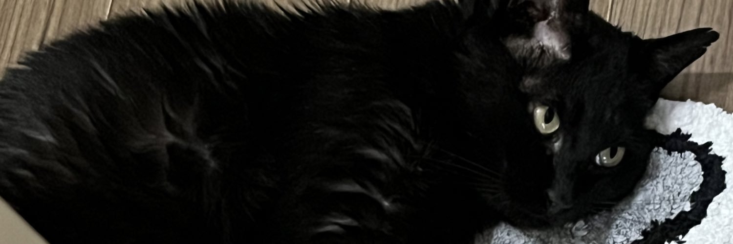 chommbo's profile banner image