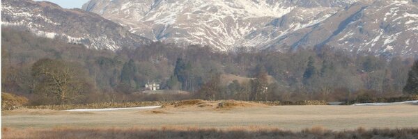 Fancyantz Profile Banner