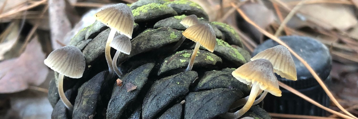 AMPBAKING's profile banner image
