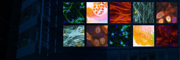 UMCDB Profile Banner