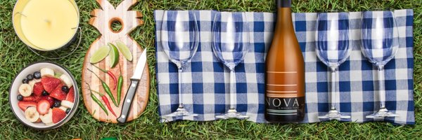 vinsbalthazard Profile Banner