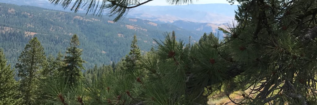 UmaUmatilla's profile banner image