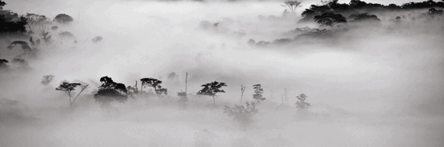 Editions Intervalles banner