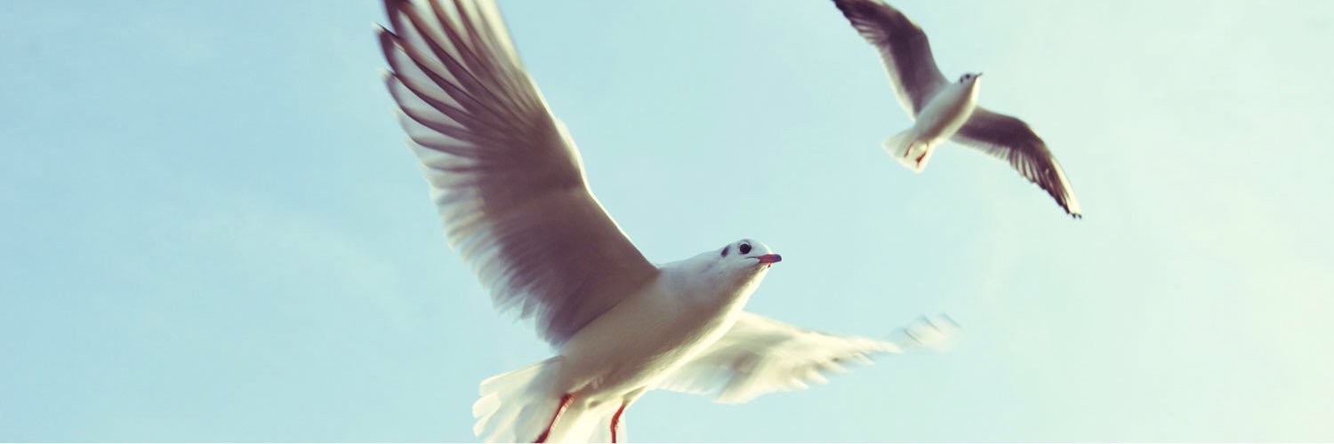 ChadiAssaf's profile banner image