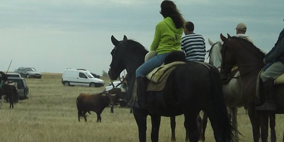 NataliaGamazo's profile banner image